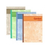 渡邊 A4軟抄本（無線裝訂本）210*297mm