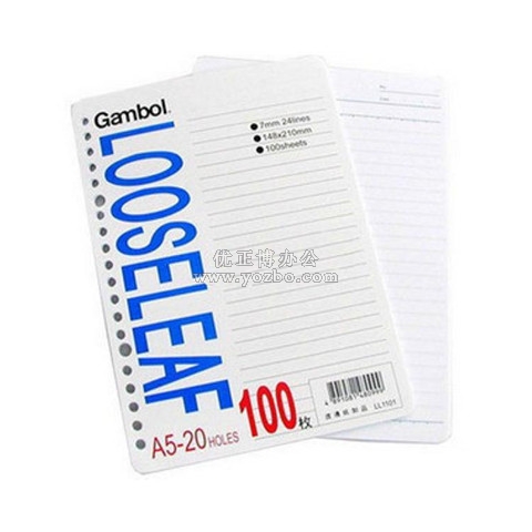 渡邊 A5活頁紙 20孔活頁芯 LL1101 100頁