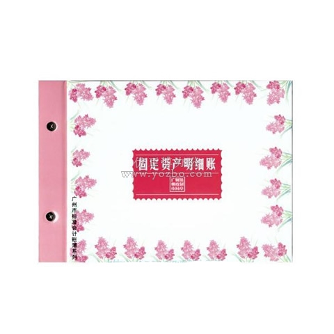 立信 固定資產(chǎn)明細(xì)帳 16K 100頁