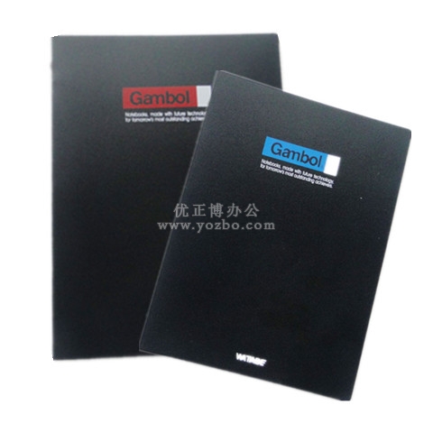 渡邊 A5活頁夾 FR1031 20孔夾 30頁