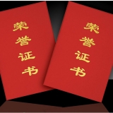 榮譽(yù)證書 99直式 絨面壓金