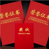 獎(jiǎng)狀 99 絨面壓金