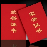 榮譽證書 89直式 絨面發(fā)泡