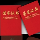 榮譽證書 89絨面發泡
