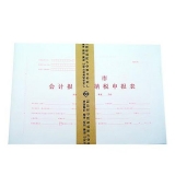 立信 廣州市會計報表及納稅申報表封面(A3)*30張