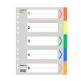 齊心 膠質彩色分類索引紙 (11孔，五色) IX901 A4