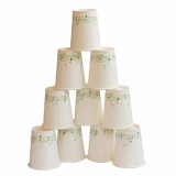 一次性環(huán)保紙杯 9安士50個(gè)裝