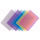 齊心單頁夾二頁文件套文件夾加厚文件套 E310